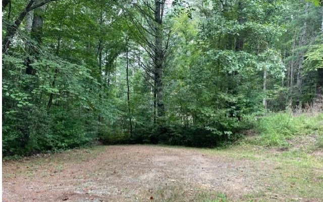 Gorgeous country land. This property sits apprx 9Miles from downtown Ellijay. There is a mobile home on property that is livable but in need of some TLC. This land has several building spots on it. There is wooded hilly land as well as level cleared areas. A nice pond is also on the property that just needs some brush removed for you to be able to walk completely around it. No restrictions or covenants - so much you could do here.