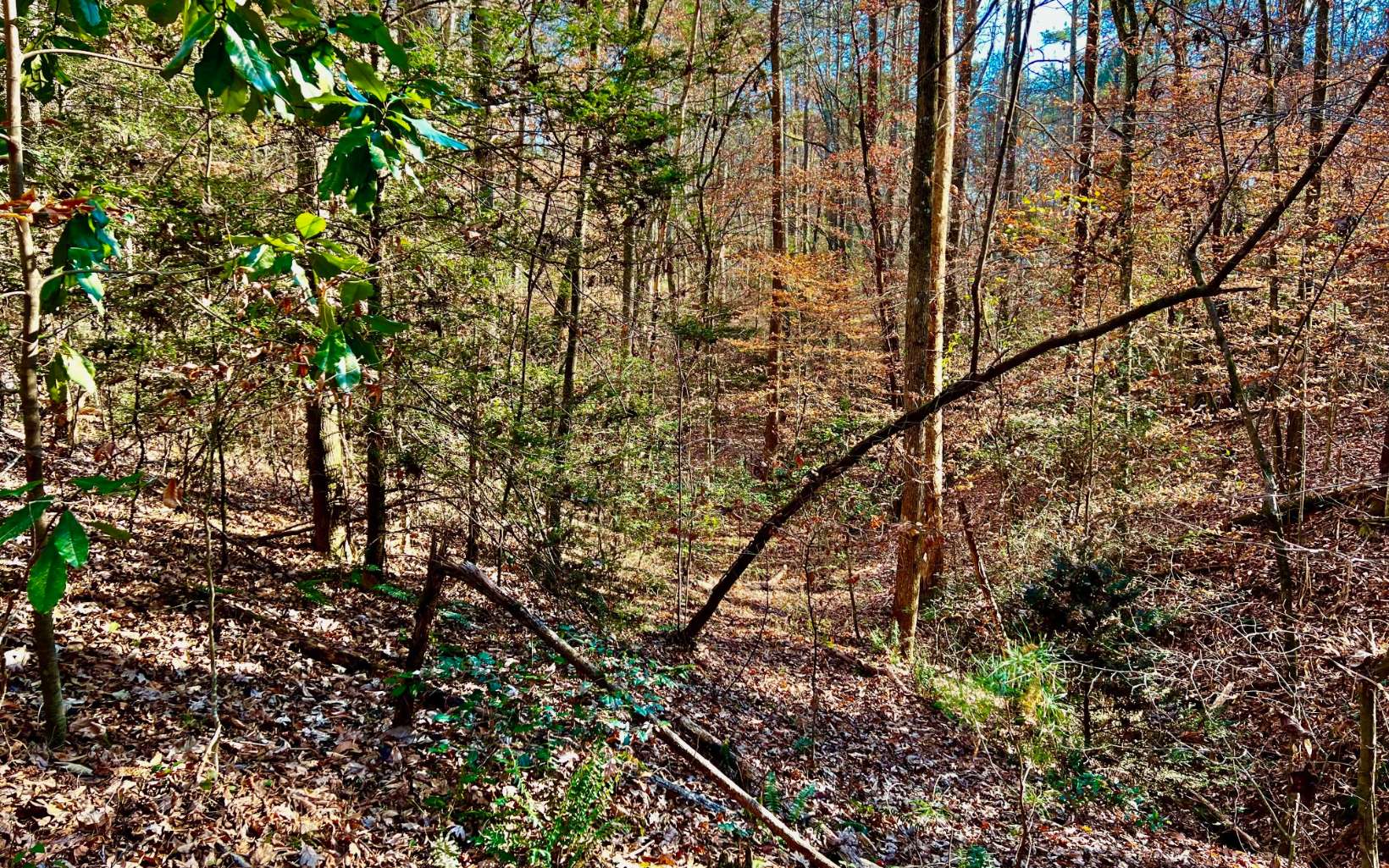 WELCOME HOME!! This just may be the perfect property to build your mountain dream home on. 2.61 acres located on two wooded lots. It also borders a small creek and a pond. All paved access and end of road privacy. Still Waters is a small and established community located just 10 minutes from Ellijay and located at the foothills of the Cohutta Mountains.
