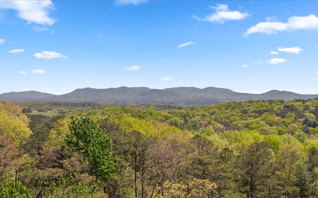 Looking for a great neighborhood to build your MOUNTAIN DREAM home? Welcome to WEEKS CROSSING!!! Just minutes from beautiful downtown Ellijay, but very private/secluded feeling. This beautiful 1.94 acre lot is in a GATED community and has LONG RANGE MOUNTAIN VIEWS, FIBER OPTIC INTERNET, PAVED ROADS,MATURE HARDWOOD and UNDERGROUND UTILITIES. Bring your builder or we can recommend one! Move to the MOUNTAINS! Ellijay is the APPLE CAPITAL and MOUNTAIN BIKING CAPITAL of GEORGIA.