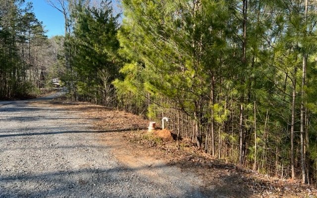 Talking Rock Creek subdivision offers some great amenities in a park like natural setting. It is Conveniently located between Ellijay and Jasper, and minutes from Carter's Lake, one of the most beautiful reservoir lakes in North Georgia. This lot is conveniently located just inside the Big Ridge Rd Gate.