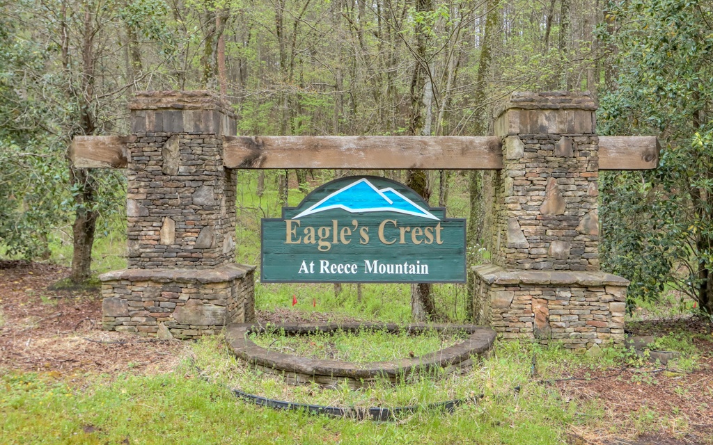 Location location location!! This corner lot tucked away in the sought after Reece Mountain community is perfect, coming in just over 1.5 acres. Build your dream mountain oasis or a vacation home in the mountains for you and your family to enjoy.
