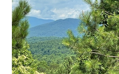 Two great acreage lots totaling 4.54 acres in a wonderful, gated community to build your custom dream home. Long range mountain views would be plentiful with minor tree trimming/removal. Close to Lake Nottely, shopping, restaurants and hospital. Come home to the beautiful North Georgia mountains!