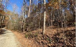 Come build your mountain retreat. 3.61 acres of wooded land. Perc test already done and on file.