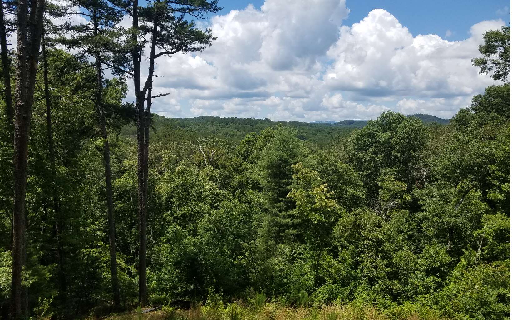 Great mountain view lot in established neighborhood., short range mountain view, perked and ready to build. All paved roads, underground utilities, city water, near golf course and minutes to Blue Ridge. Deeded Toccoa River access. Excellent rental area. Near Canoe Launch and Golf Course.